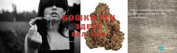 COCAINE Горно-Алтайск