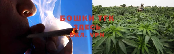 крисы Горняк