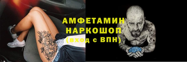 гидропоника Горнозаводск