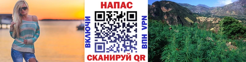 Каннабис семена  Купить где  Островной 